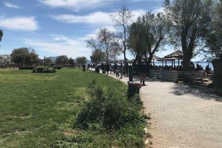 Cozy studio 50m from sea Atenas Exterior foto